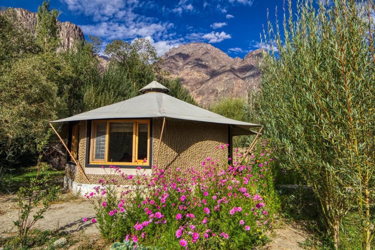 Chalet Seabuckthorn - Hunder Hundar Bagian luar foto